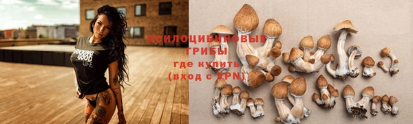 соль курить ск Верхний Тагил