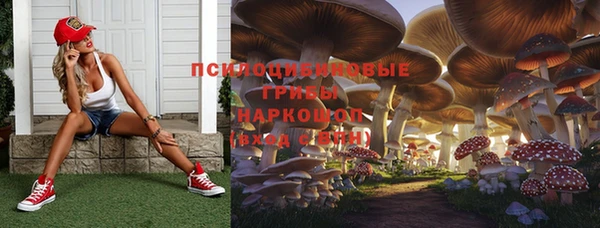 гашиш Каменка