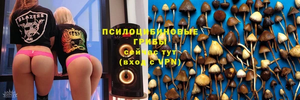 таблы Дмитровск